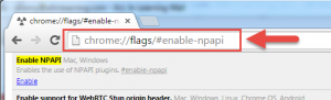 NPAPI enable screenshot 1